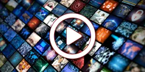 media
